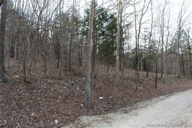 Nice building lot overlooking Gladstone Cove. Property lays nice - photo 1