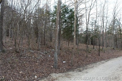 Nice building lot overlooking Gladstone Cove. Property lays nice - photo 1