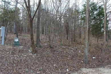 Nice building lot overlooking Gladstone Cove. Property lays nice - photo 2