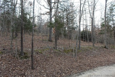 Nice building lot overlooking Gladstone Cove. Property lays nice - photo 3