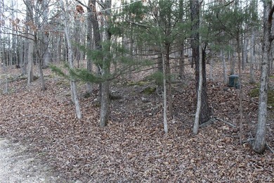 Nice building lot overlooking Gladstone Cove. Property lays nice - photo 5