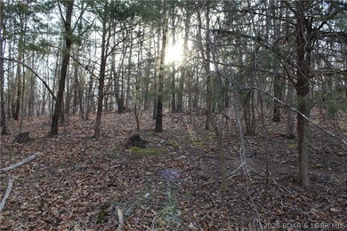 Nice building lot overlooking Gladstone Cove. Property lays nice - photo 6