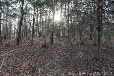 Nice building lot overlooking Gladstone Cove. Property lays nice - photo 6