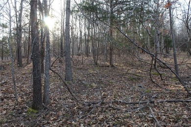Nice building lot overlooking Gladstone Cove. Property lays nice - photo 8