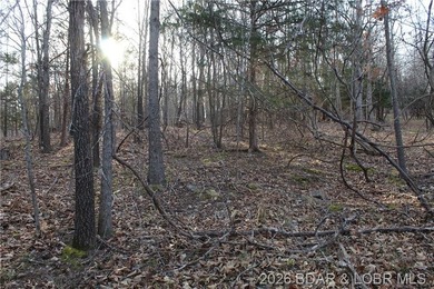 Nice building lot overlooking Gladstone Cove. Property lays nice - photo 8