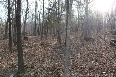 Nice building lot overlooking Gladstone Cove. Property lays nice - photo 9