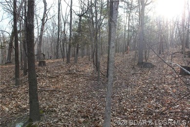 Nice building lot overlooking Gladstone Cove. Property lays nice - photo 9
