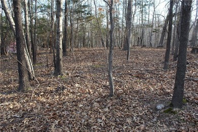 Nice building lot overlooking Gladstone Cove. Property lays nice - photo 10