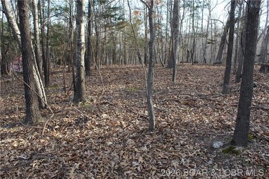 Nice building lot overlooking Gladstone Cove. Property lays nice - photo 10