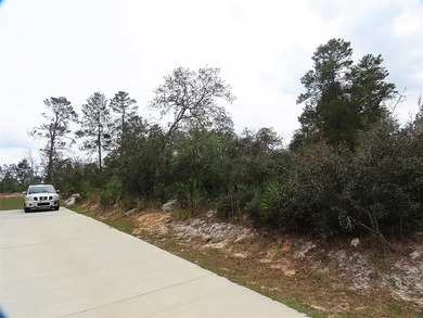 Lake Marion - Polk County Lot For Sale in Kissimmee Florida