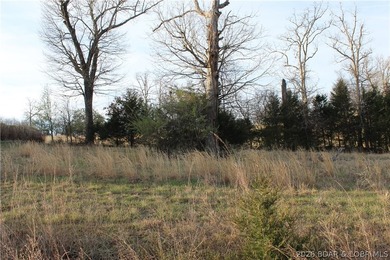 Nice lakeview lot in Johnson's Bay subdivision overlooking - photo 2