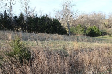 Nice lakeview lot in Johnson's Bay subdivision overlooking - photo 3