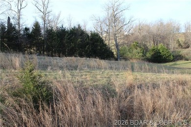 Nice lakeview lot in Johnson's Bay subdivision overlooking - photo 3