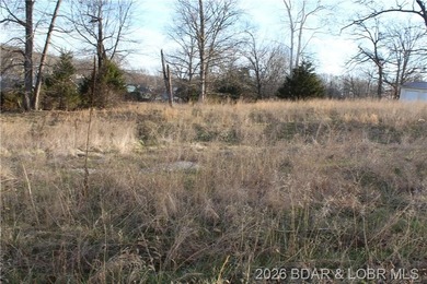 Nice lakeview lot in Johnson's Bay Subdivisionmunity water and - photo 2