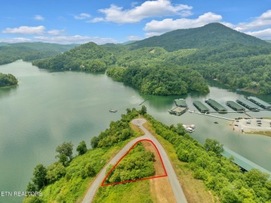 Lake Lot For Sale in New Tazewell, Tennessee