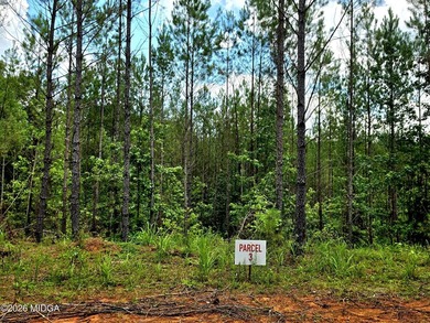Additional listing photo 2