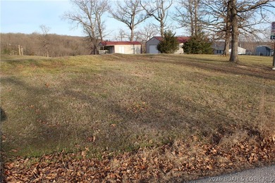 Enjoy the views from this easy-to-access Lake View lot at the - photo 4