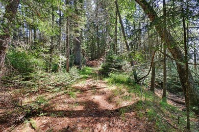 Rare opportunity to build in the highly sought-after Eaglewatch - photo 12