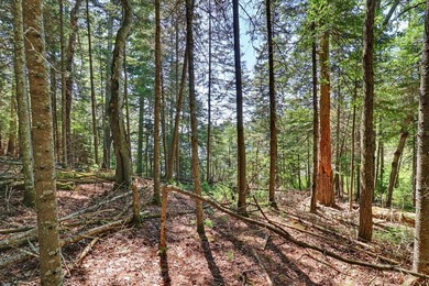 Rare opportunity to build in the highly sought-after Eaglewatch - photo 13