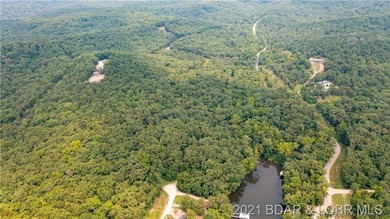 Great laying 9.8 acres located at the 45mm. Property does - photo 4