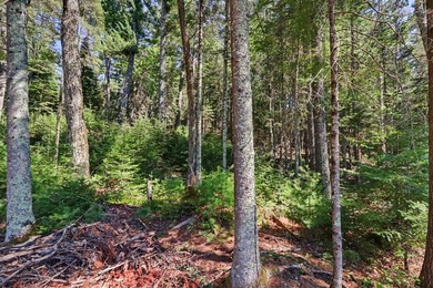 Rare opportunity to build in the highly sought-after Eaglewatch - photo 14