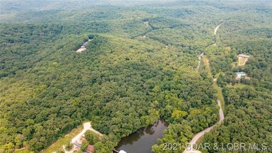 Great laying 9.8 acres located at the 45mm. Property does - photo 7