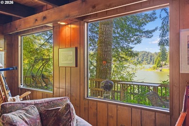 One-of-a-kind Tenmile Lakefront home on Coleman Arm - boat - photo 5