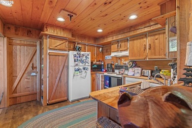 One-of-a-kind Tenmile Lakefront home on Coleman Arm - boat - photo 9