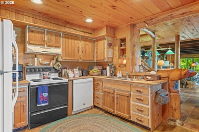 One-of-a-kind Tenmile Lakefront home on Coleman Arm - boat - photo 10
