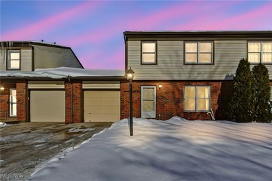 (private lake, pond, creek) Condo Active Under Contract in Concord Ohio