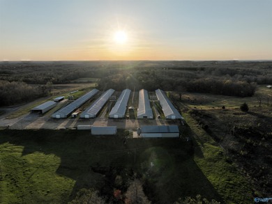 (private lake, pond, coastal) Acreage For Sale in Russellville Alabama