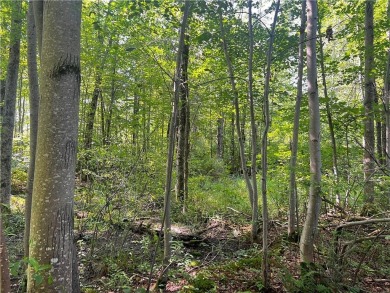 Lake Acreage For Sale in Winter, Wisconsin