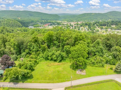 Unrestricted 1.35 Acre Lot - City Convenience with a Country - photo 14