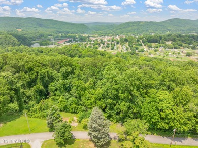 Unrestricted 1.35 Acre Lot - City Convenience with a Country - photo 19
