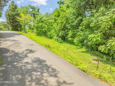 Unrestricted 1.35 Acre Lot - City Convenience with a Country - photo 21