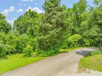 Unrestricted 1.35 Acre Lot - City Convenience with a Country - photo 22