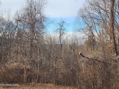 Unrestricted 1.35 Acre Lot - City Convenience with a Country - photo 25