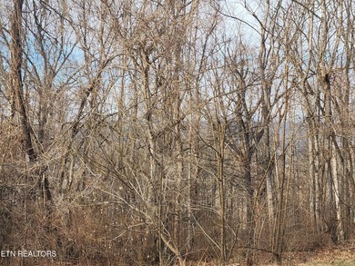 Unrestricted 1.35 Acre Lot - City Convenience with a Country - photo 26