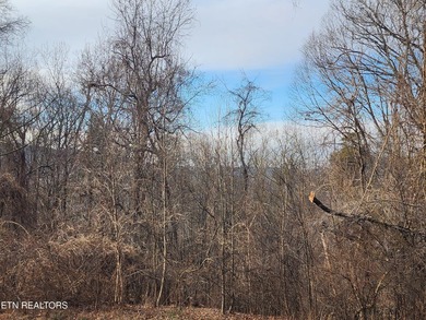 Unrestricted 1.35 Acre Lot - City Convenience with a Country - photo 27