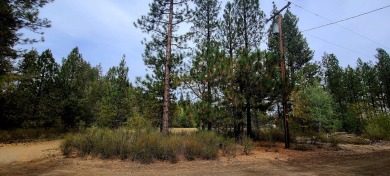 Upper Klamath Lake Lot For Sale in Klamath Falls Oregon