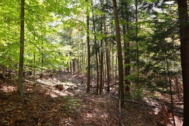 Set up camp or build your Adirondack escape on this beautiful - photo 2