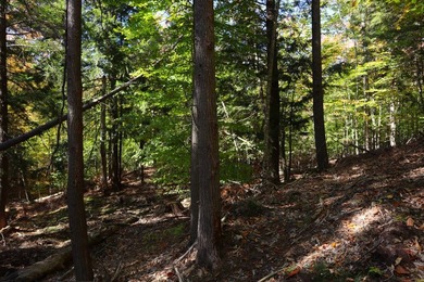 Set up camp or build your Adirondack escape on this beautiful - photo 3