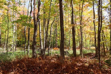 Set up camp or build your Adirondack escape on this beautiful - photo 4