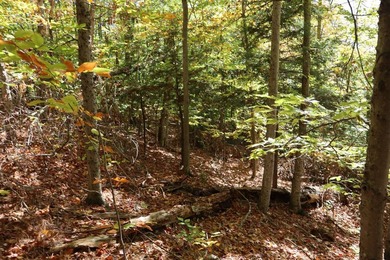 Set up camp or build your Adirondack escape on this beautiful - photo 6