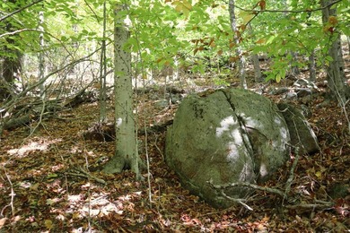 Set up camp or build your Adirondack escape on this beautiful - photo 7