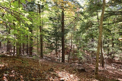 Set up camp or build your Adirondack escape on this beautiful - photo 8