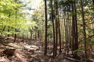 Set up camp or build your Adirondack escape on this beautiful - photo 9