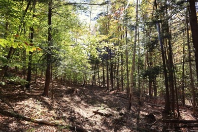 Set up camp or build your Adirondack escape on this beautiful - photo 10