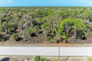 Port Charlotte Waterway Area Lot For Sale in Port Charlotte Florida