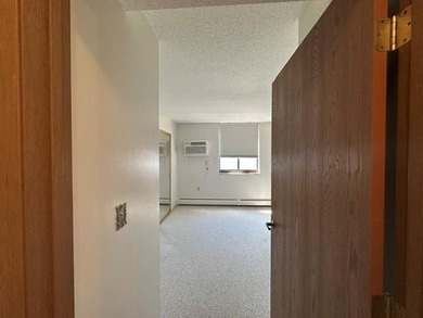 Age 55+ condo- beautiful corner 976 sqft CEDAR MODEL with great - photo 15